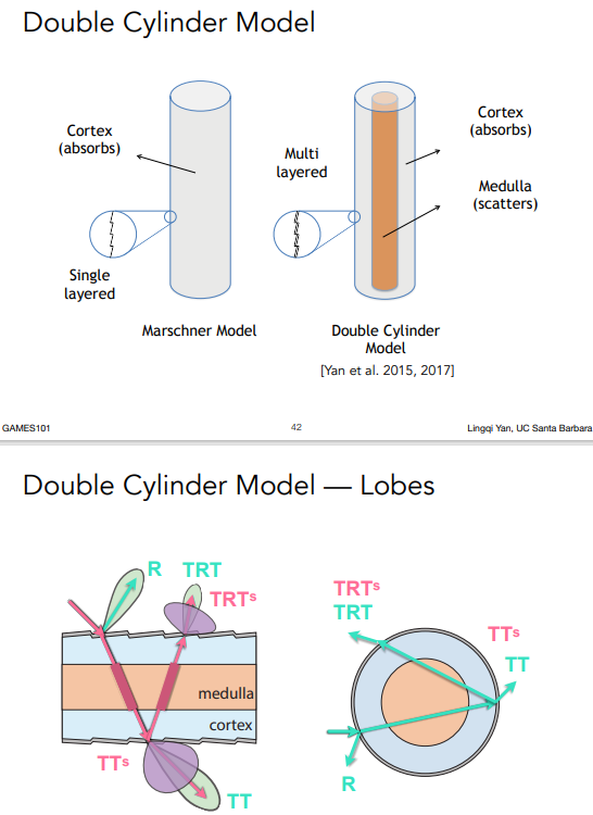 Double Cylinder Model